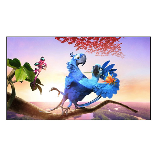 고정 프레임 화면은 시청 경험을 어떻게 향상시킵니까?